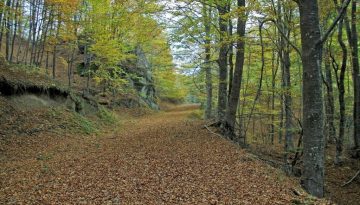 Δράμα: Υπεγράφη η σύμβαση για τη δημιουργία δικτύου μονοπατιών και πεζοπορίας