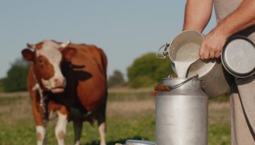Εκούσια μείωση όγκων παραγωγής σε επίπεδο ΕΕ ζητά το Ευρωπαϊκό Συμβούλιο Γάλακτος
