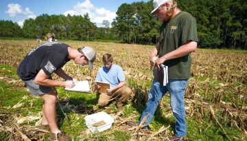 ΓΕΩΤ.Ε.Ε. Ανατολικής Στερεάς: Στο προσκήνιο υποστελέχωση, γραφειοκρατία και θεσμικά κενά στις γεωτεχνικές υπηρεσίες