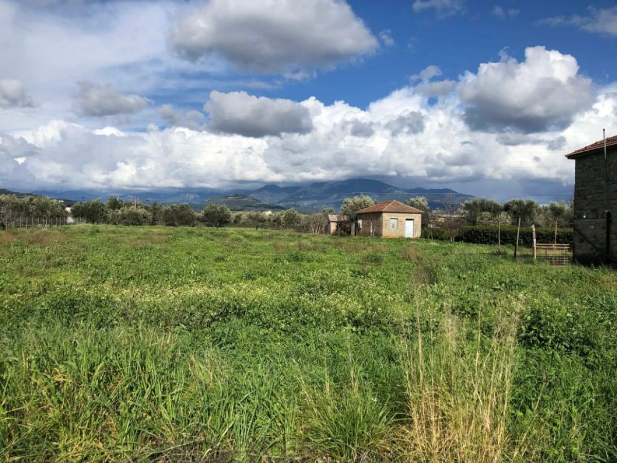 Οι επιλέξιμες δαπάνες για τα σχέδια βελτίωσης