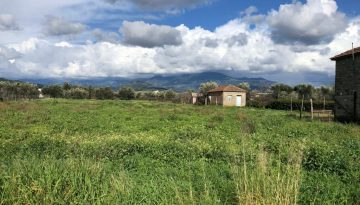 Οι επιλέξιμες δαπάνες για τα σχέδια βελτίωσης