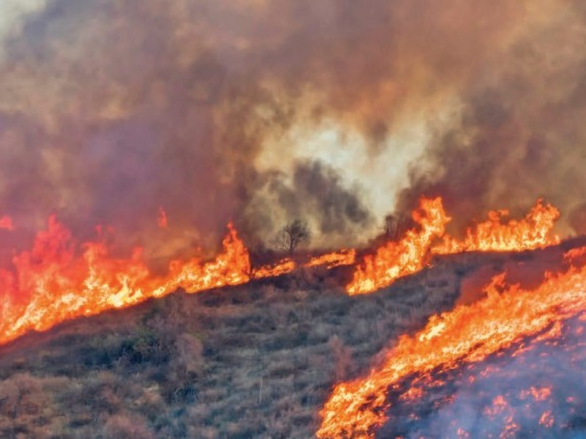 Οι καπνοί των πυρκαγιών σκοτώνουν πάνω από 24.000 πολίτες των ΗΠΑ κάθε χρόνο