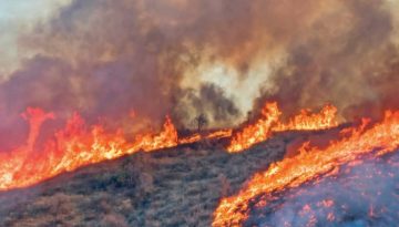 Οι καπνοί των πυρκαγιών σκοτώνουν πάνω από 24.000 πολίτες των ΗΠΑ κάθε χρόνο