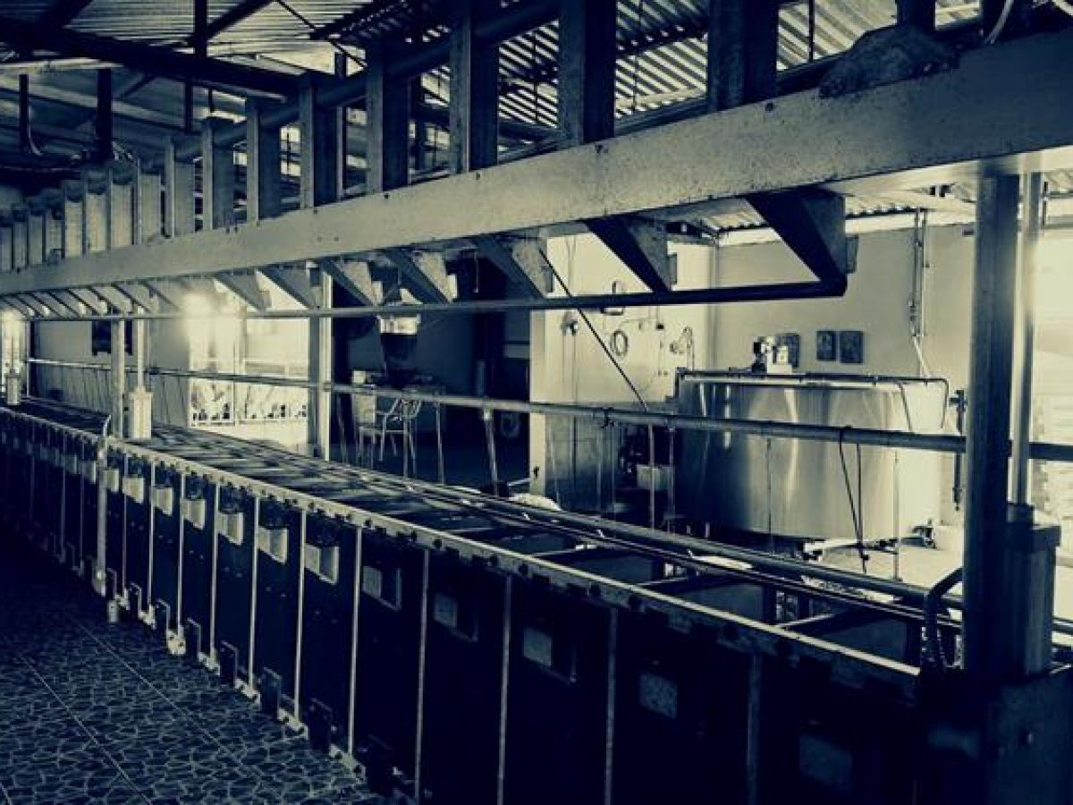 Ήπειρο:Το πρώτο κρούσμα ευλογιάς προβάτων θέτει σε συναγερμό την κτηνοτροφία