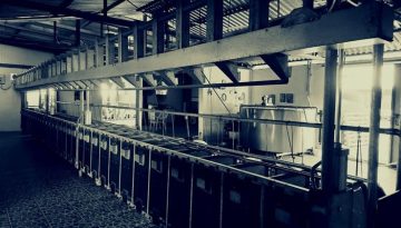 Ήπειρο:Το πρώτο κρούσμα ευλογιάς προβάτων θέτει σε συναγερμό την κτηνοτροφία