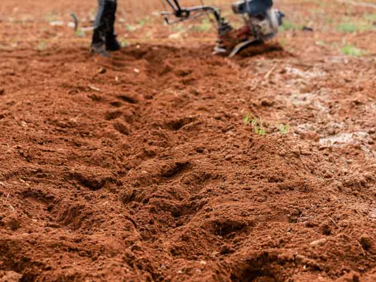 Καλλιεργητικές εργασίες τον Μάρτιο