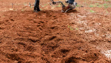 Καλλιεργητικές εργασίες τον Μάρτιο