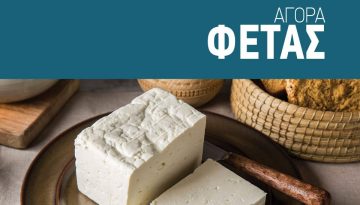 Καλπάζει η ζήτηση για Φέτα, αναγκαία τα κίνητρα προς αύξηση γαλακτοπαραγωγής