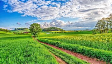 Καθυστερούν τα eco-schemes σύμφωνα με το χρονοδιάγραμμα της ΑΑΔΕ