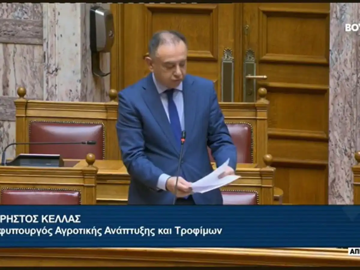 &Kappa;έ&lambda;&lambda;&alpha;&sigmaf; &gamma;&iota;&alpha; &epsilon;&upsilon;&lambda;&omicron;&gamma;&iota;ά: &Alpha;&upsilon;&tau;ή &tau;&eta; &sigma;&tau;&iota;&gamma;&mu;ή &tau;&alpha; &kappa;&rho;&omicron;ύ&sigma;&mu;&alpha;&tau;&alpha; &sigma;&epsilon; ό&lambda;&eta; &tau;&eta; &chi;ώ&rho;&alpha; &pi;&rho;&alpha;&gamma;&mu;&alpha;&tau;&iota;&kappa;ά &epsilon;ί&nu;&alpha;&iota; &pi;&omicron;&lambda;ύ &lambda;ί&gamma;&alpha; &kappa;&alpha;&iota; &theta;έ&lambda;&omicron;&upsilon;&mu;&epsilon; &nu;&alpha; &tau;&alpha; &mu;&eta;&delta;&epsilon;&nu;ί&sigma;&omicron;&upsilon;&mu;&epsilon;
