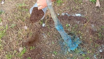 Μύθοι και αλήθειες για την “οργανική” λίπανση ακτινιδιάς