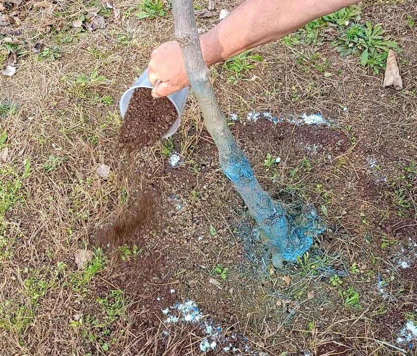 mithi-ke-alithies-gia-tin