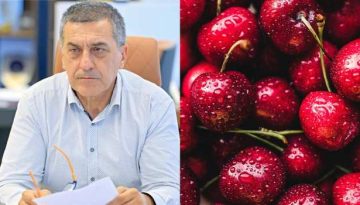 Να αποζημιωθούν οι κερασοπαραγωγοί της Π.Ε. Λάρισας για τον παγετό του 2025 στο προανθικό στάδιο – Επιστολή Κουρέτα σε Τσ