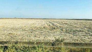 Οδηγίες για υποχρεωτική μετάταξη από το ειδικό στο κανονικό καθεστώς