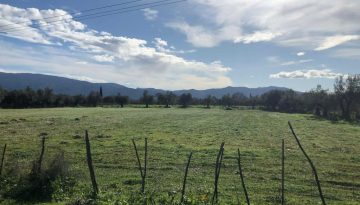 Όλο το σχέδιο για την αναβαθμισμένη εφαρμογή Gov Agri-Wallet