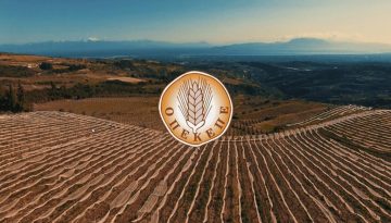 ΟΠΕΚΕΠΕ: Κίνδυνος αναστολής πληρωμών – Τι επιβεβαιώνει η Κομισιόν