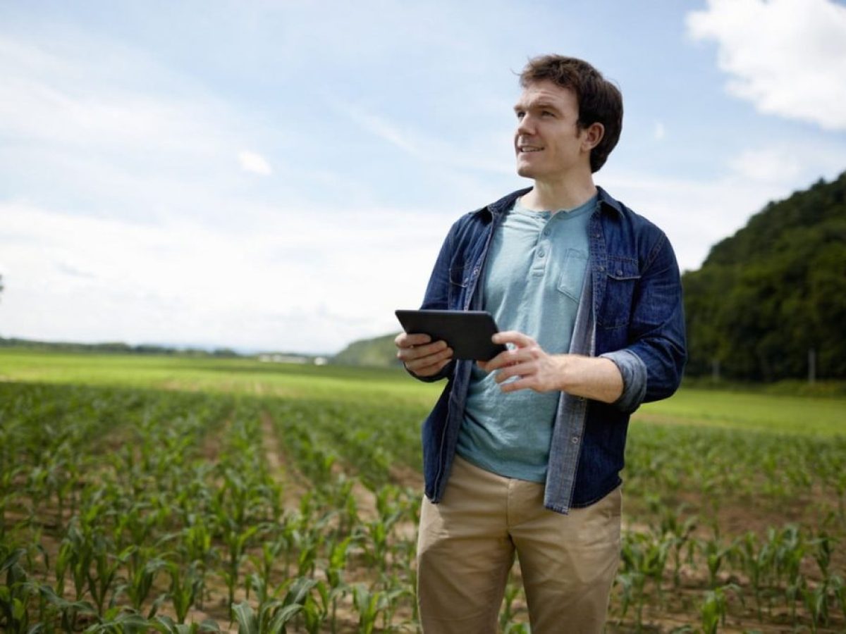 Παράταση για διορθώσεις ΕΑΕ και Monitoring