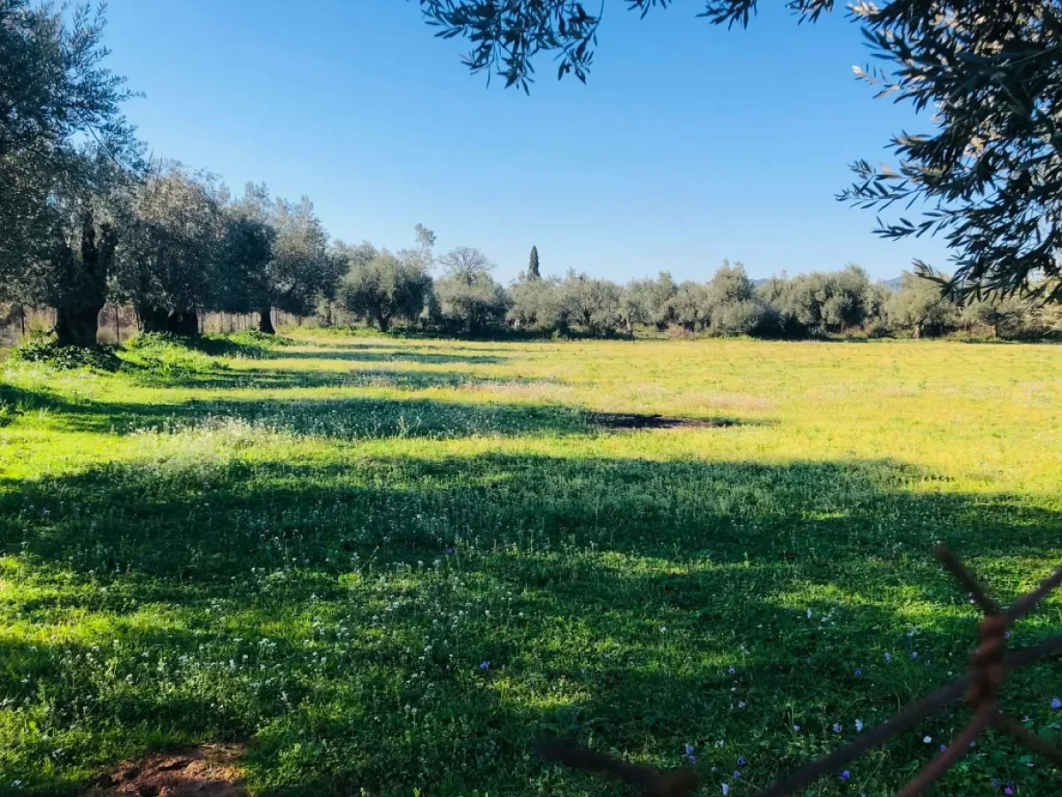 Πρόγραμμα νιτρικών: Μόνο για πληρωμή εκκαθάρισης έτους εφαρμογής 2025 η νέα Παρέμβαση