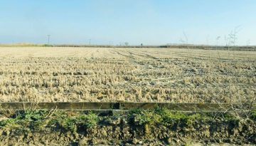 Προϋποθέσεις για την πληρωμή εκκρεμών δηλώσεων για μη ιδιοχρησιμοποιούμενα αγροτεμάχια