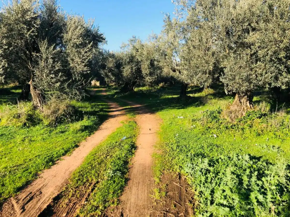 &Sigma;ύ&sigma;&tau;&alpha;&sigma;&eta; &omicron;&mu;ά&delta;&omega;&nu; &kappa;&alpha;&iota; &mu;έ&tau;&rho;&omicron; &ldquo;&Sigma;&upsilon;&nu;&epsilon;&rho;&gamma;&alpha;&sigma;ί&alpha;&rdquo;: &Tau;&iota; &gamma;ί&nu;&epsilon;&tau;&alpha;&iota; &mu;&epsilon; &alpha;&iota;&tau;ή&sigma;&epsilon;&iota;&sigmaf;, &alpha;&xi;&iota;&omicron;&lambda;&omicron;&gamma;ή&sigma;&epsilon;&iota;&sigmaf;, &alpha;&pi;&omicron;&tau;&epsilon;&lambda;έ&sigma;&mu;&alpha;&tau;&alpha;