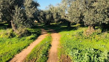 Σύσταση ομάδων και μέτρο “Συνεργασία”: Τι γίνεται με αιτήσεις, αξιολογήσεις, αποτελέσματα