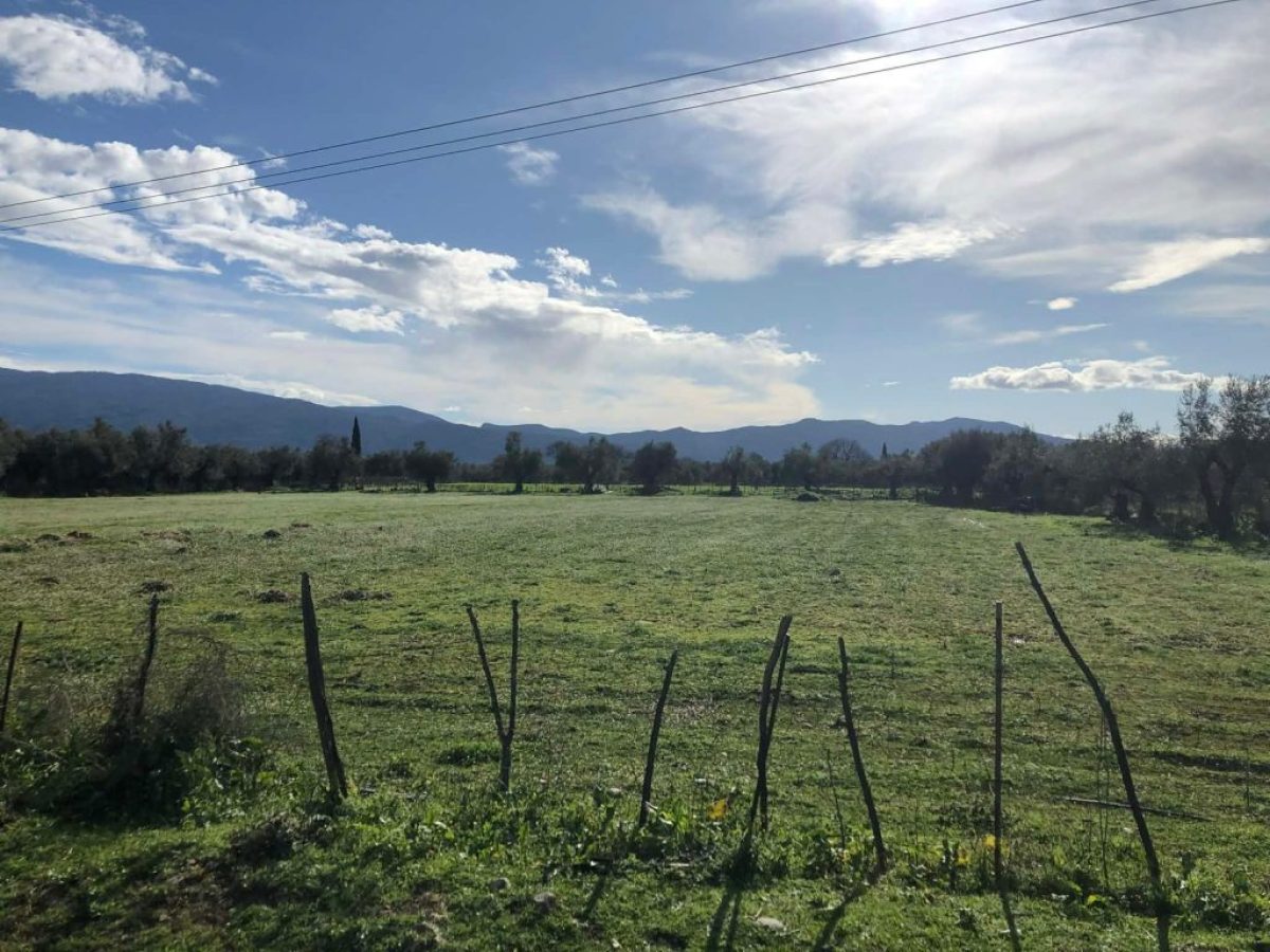 Στο ΦΕΚ η απόφαση διορθώσεων ΕΑΕ, ποιες πληρωμές ακολουθούν