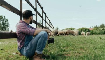 Στο στόχαστρο η κτηνοτροφία: Η ΕΕ προτείνει σταδιακή κατάργηση επιδοτήσεων και «πράσινη» αναδιάρθρωση του αγροτικού τομέα