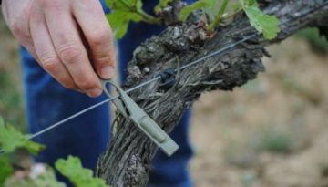 Τροποποιήσεις σε εντάξεις για το Κομφούζιο από την 1η Ιουλίου