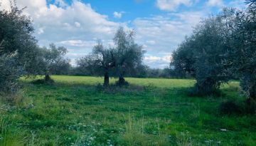 Β’ δόση νέων γεωργών: Ανοίγει σύντομα το πληροφοριακό σύστημα για αιτήσεις