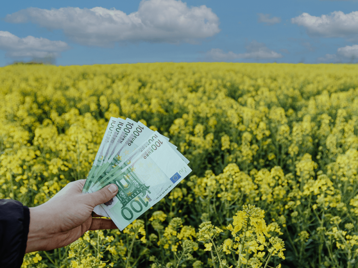 Βρετανία: Γιατί χάνουν ενισχύσεις οι αγρότες – Το νέο σύστημα