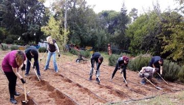 Αγρότες: Ουραγός η Ελλάδα στην αγροτική εκπαίδευση