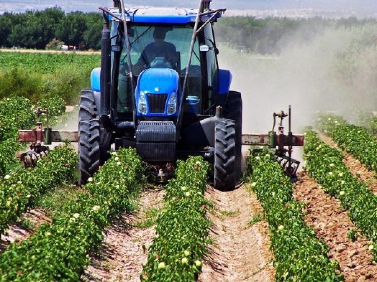 Αγροτικές επιδοτήσεις – ΟΠΕΚΕΠΕ: Τι πληρώνεται τον Μάρτιο – Στο ταμείο χιλιάδες γεωργοί