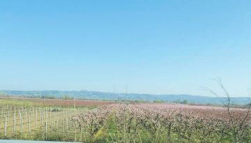 Απόφαση καθορισμού συνεχιζόμενης πράξης της δράσης 5.1.1