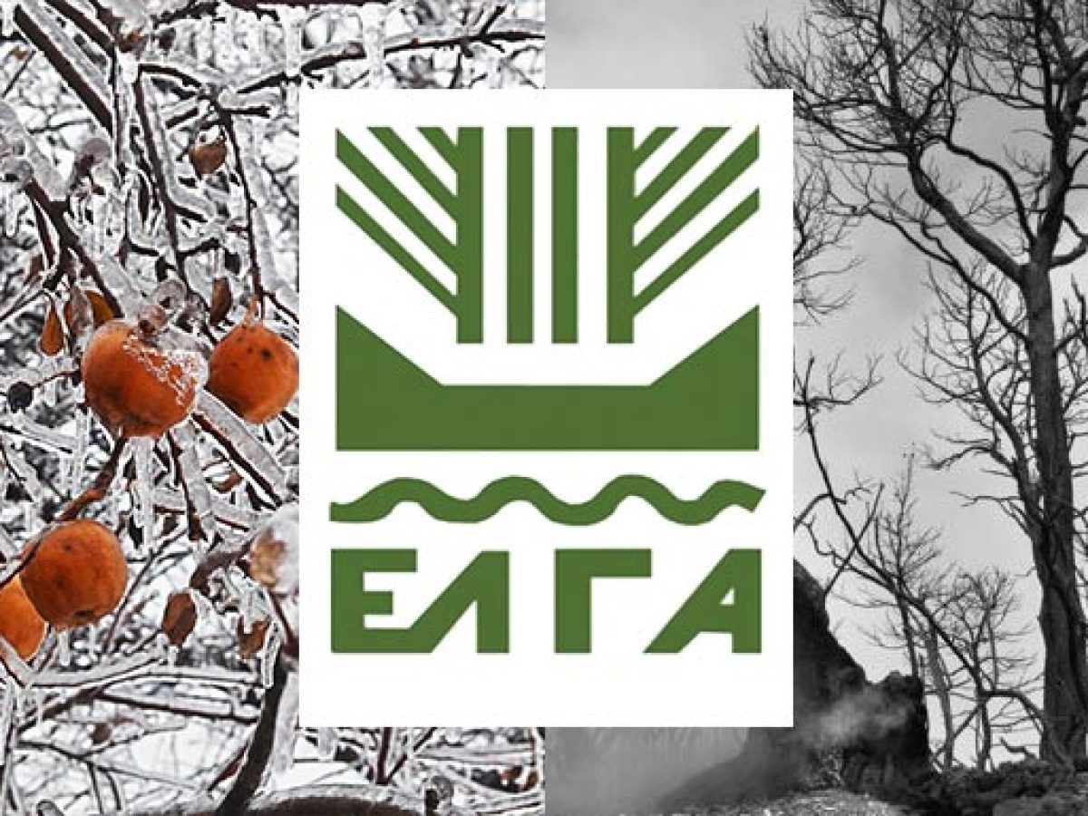 Αρχές Απριλίου πληρώνει ο ΕΛΓΑ για τις ζημιές του 2025