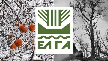 Αρχές Απριλίου πληρώνει ο ΕΛΓΑ για τις ζημιές του 2025