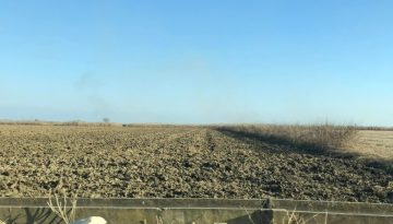 ΑΑΔΕ: Ανοίγει η ψηφιακή εφαρμογή για υπεύθυνη δήλωση κατοχής αγροτεμαχίων για την ΕΑΕ 2025