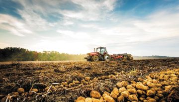 ΑΑΔΕ: Ανοίγει η ψηφιακή εφαρμογή για υπεύθυνη δήλωση κατοχής αγροτεμαχίων για την ΕΑΕ 2025