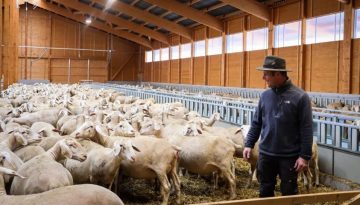 550 εκατ. ευρώ για αγρότες και κτηνοτρόφους