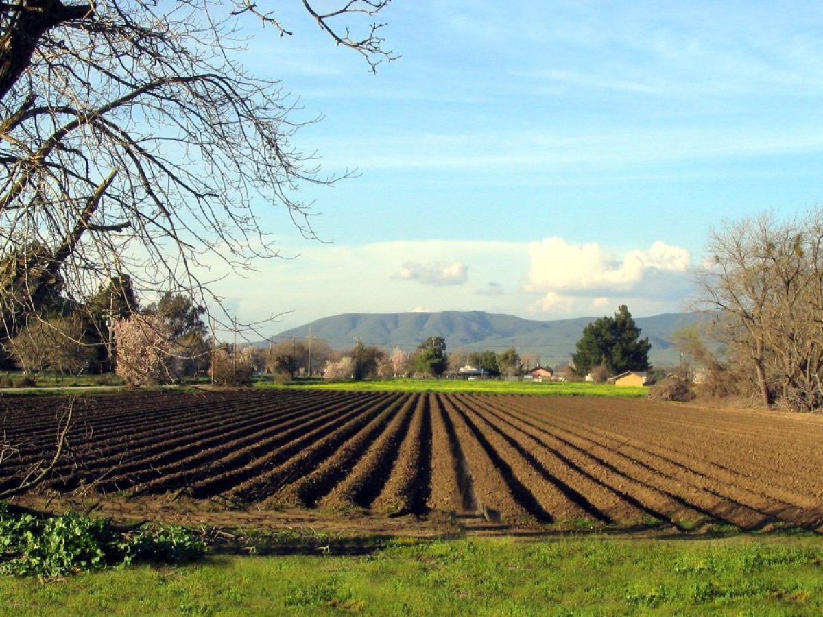 Κανονικά οι επιδοτήσεις τη Μ. Πέμπτη για αγροτεμάχια με προβλήματα στο monitoring – Τι αναφέρει τροποποιητική απόφαση