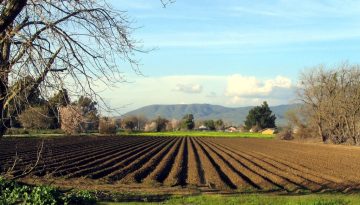 Κανονικά οι επιδοτήσεις τη Μ. Πέμπτη για αγροτεμάχια με προβλήματα στο monitoring – Τι αναφέρει τροποποιητική απόφαση