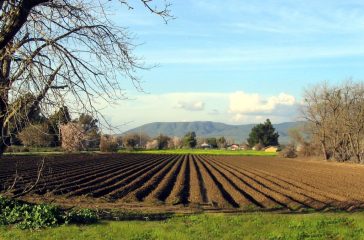 kanonika-i-epidotisis-ti-m