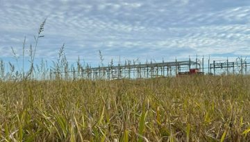 Κλείδωσαν τα de minimis ρυζιού, σε κάθε περίπτωση μετά το Πάσχα πληρωμή