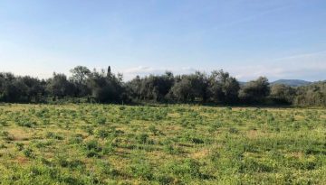 Ολοταχώς για νέα πληρωμή επιστροφής ΕΦΚ πετρελαίου αγροτών