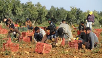 Παράταση έως 30 Ιουνίου στην υποβολή αιτήσεων για εργάτες γης