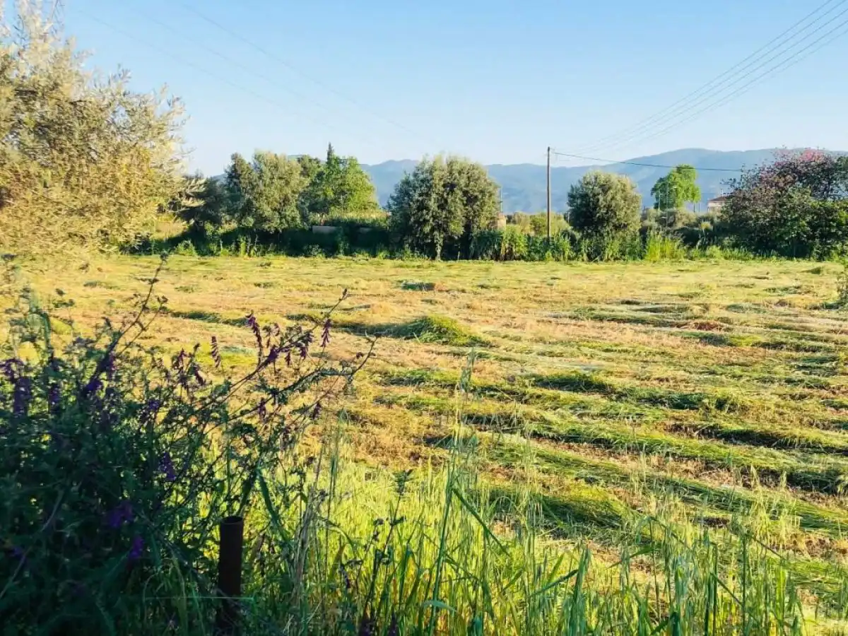 &Pi;&lambda;&eta;&rho;&omega;&mu;ή &epsilon;&pi;&iota;&delta;&omicron;&tau;ή&sigma;&epsilon;&omega;&nu; &sigma;&epsilon; &chi;&omega;&rho;ά&phi;&iota;&alpha; &mu;&epsilon; &zeta;&eta;&tau;ή&mu;&alpha;&tau;&alpha; &Kappa;&tau;&eta;&mu;&alpha;&tau;&omicron;&lambda;&omicron;&gamma;ί&omicron;&upsilon; &mu;ό&nu;&omicron; &mu;&epsilon; &Omicron;&Sigma;&Delta;&Epsilon; &tau;&epsilon;&tau;&rho;&alpha;&epsilon;&tau;ί&alpha;&sigmaf;
