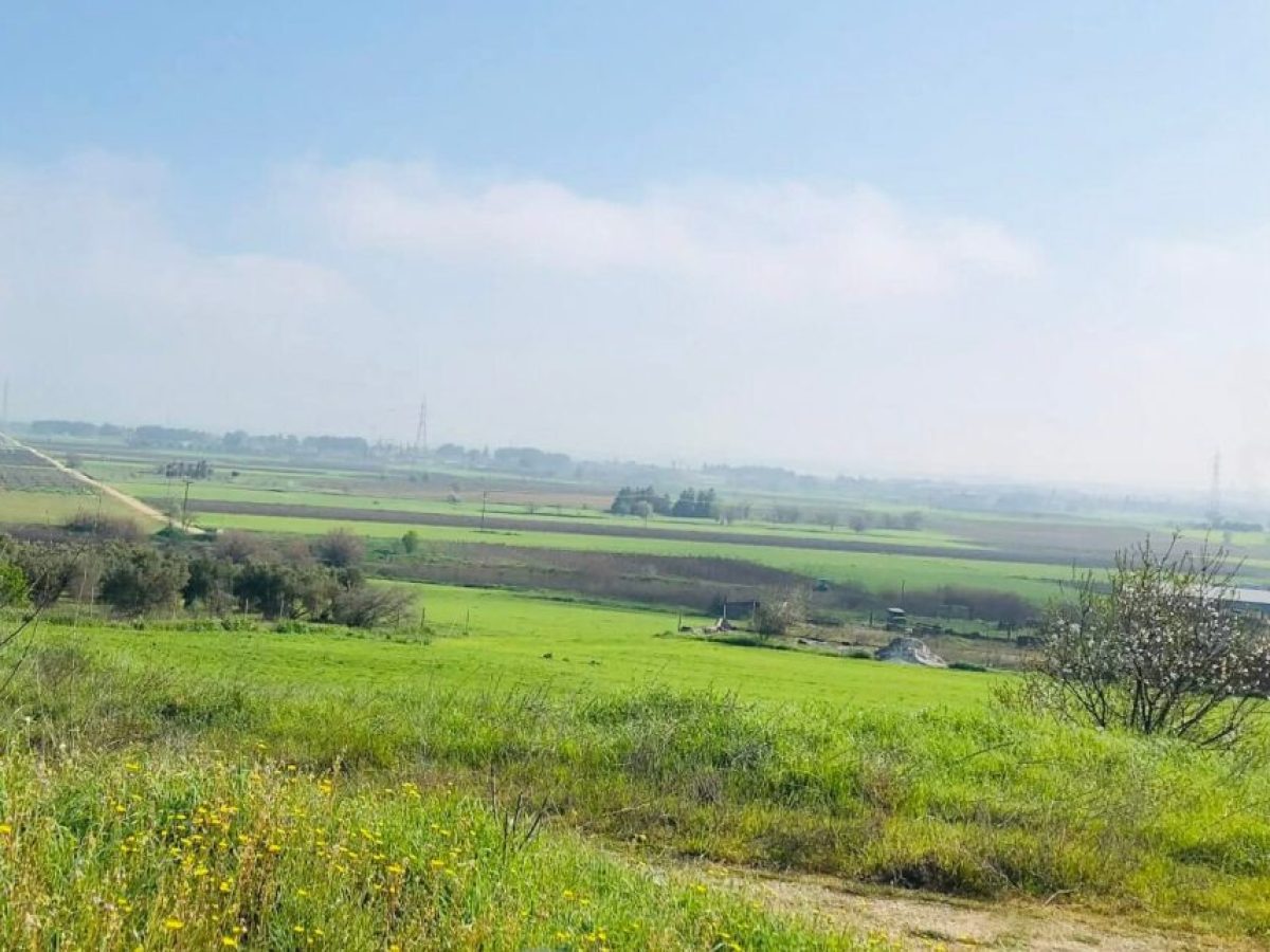 Πότε θα βγει καινούργιο πρόγραμμα νέων αγροτών