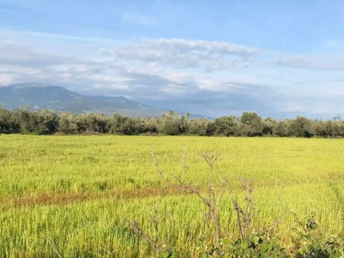 &Alpha;&gamma;&omega;&nu;ί&alpha; &sigma;&tau;&omicron;&upsilon;&sigmaf; &alpha;&gamma;&rho;ό&tau;&epsilon;&sigmaf; &gamma;&iota;&alpha; &nu;έ&epsilon;&sigmaf; &epsilon;&pi;&iota;&pi;&tau;ώ&sigma;&epsilon;&iota;&sigmaf; &sigma;&tau;&iota;&sigmaf; &pi;&lambda;&eta;&rho;&omega;&mu;έ&sigmaf; &lambda;ό&gamma;&omega; monitoring
