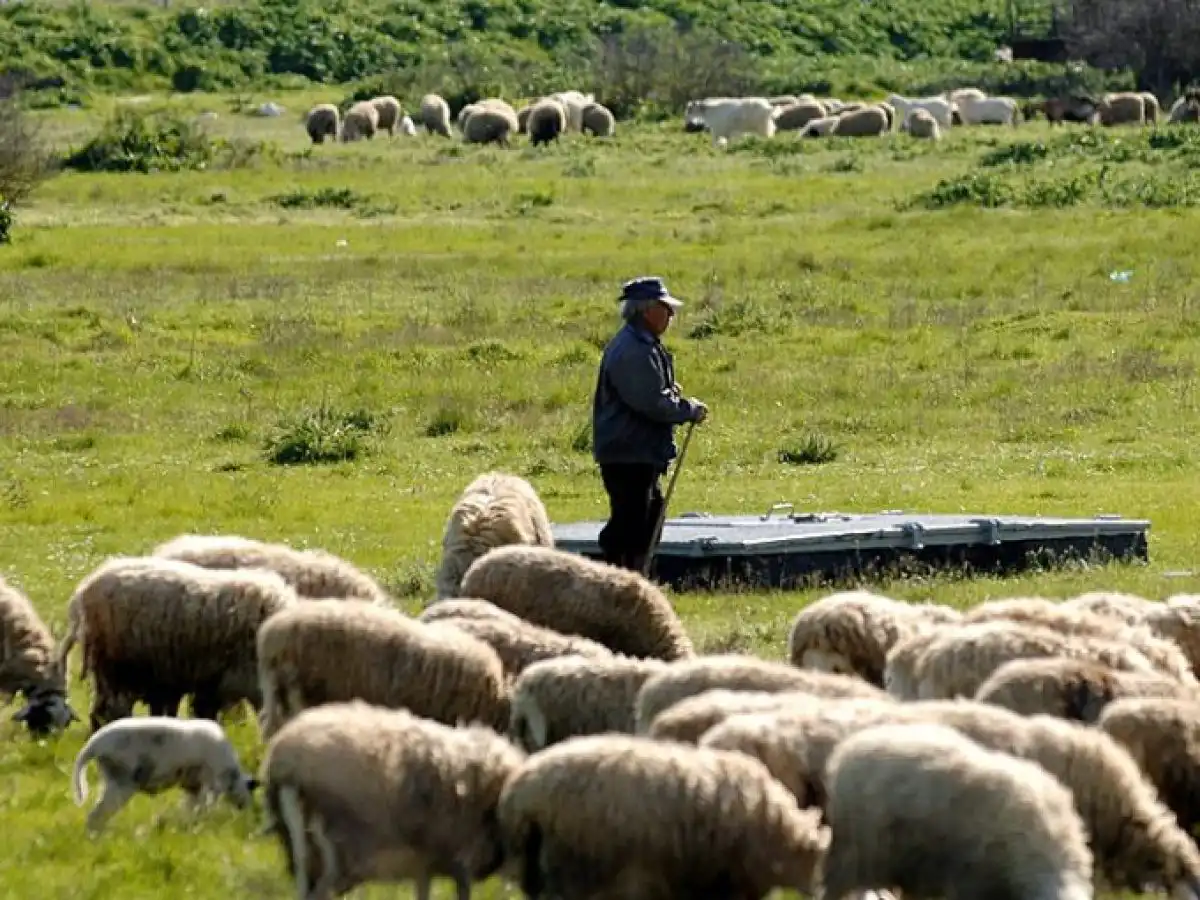 &Alpha;&theta;. &Kappa;&alpha;&beta;&beta;&alpha;&delta;ά&sigmaf; &sigma;&tau;&eta; &Beta;&omicron;&upsilon;&lambda;ή: &Pi;ά&nu;&omega; &alpha;&pi;ό 213 &epsilon;&kappa;&alpha;&tau;. &epsilon;&upsilon;&rho;ώ &gamma;&iota;&alpha; &tau;&eta; &sigma;&tau;ή&rho;&iota;&xi;&eta; &tau;&omega;&nu; &kappa;&tau;&eta;&nu;&omicron;&tau;&rho;ό&phi;&omega;&nu; &pi;&omicron;&upsilon; &epsilon;&pi;&lambda;ή&gamma;&eta;&sigma;&alpha;&nu; &alpha;&pi;ό &zeta;&omega;&omicron;&nu;ό&sigma;&omicron;&upsilon;&sigmaf;