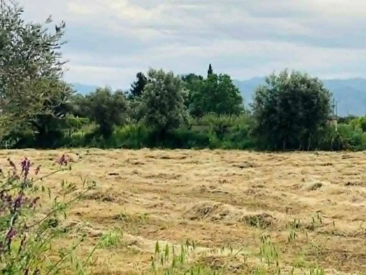 &Chi;&alpha;&tau;&zeta;&eta;&delta;ά&kappa;&eta;&sigmaf; &mu;&epsilon; &Kappa;έ&lambda;&lambda;&alpha;: &Chi;&omega;&rho;ί&sigmaf; &ldquo;&kappa;&lambda;&epsilon;&iota;&delta;&omega;&mu;έ&nu;&eta;&rdquo; &eta;&mu;&epsilon;&rho;&omicron;&mu;&eta;&nu;ί&alpha; &gamma;&iota;&alpha; &pi;&lambda;&eta;&rho;&omega;&mu;ή de minimis &sigma;&tau;&alpha; &tau;&rho;&iota;&phi;ύ&lambda;&lambda;&iota;&alpha;