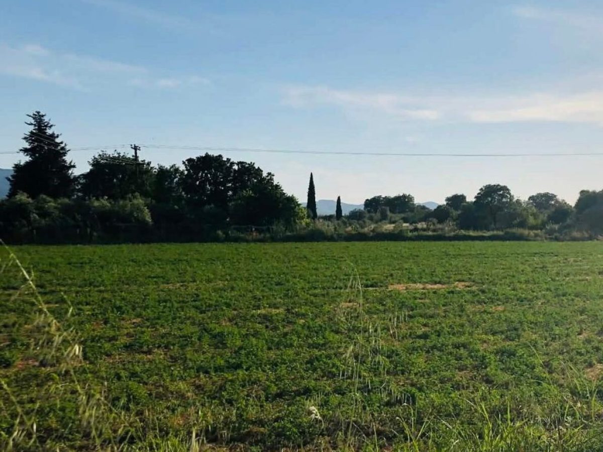 Κωδικός 54350: Άμεσα σχετική νομοθετική ρύθμιση για τις εκτάσεις